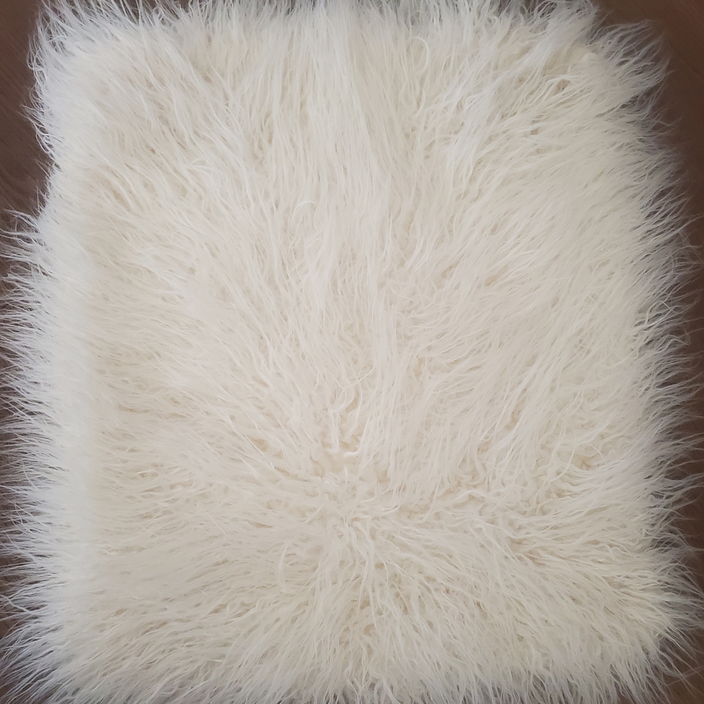 WEEKEND CLEAN OUT..Pottery Barn Faux Fur Pillow Cover
